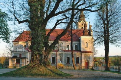  (link otworzy duże zdjęcie)