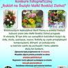 Czytaj więcej