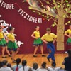  (link otworzy duże zdjęcie)