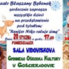  (link otworzy duże zdjęcie)