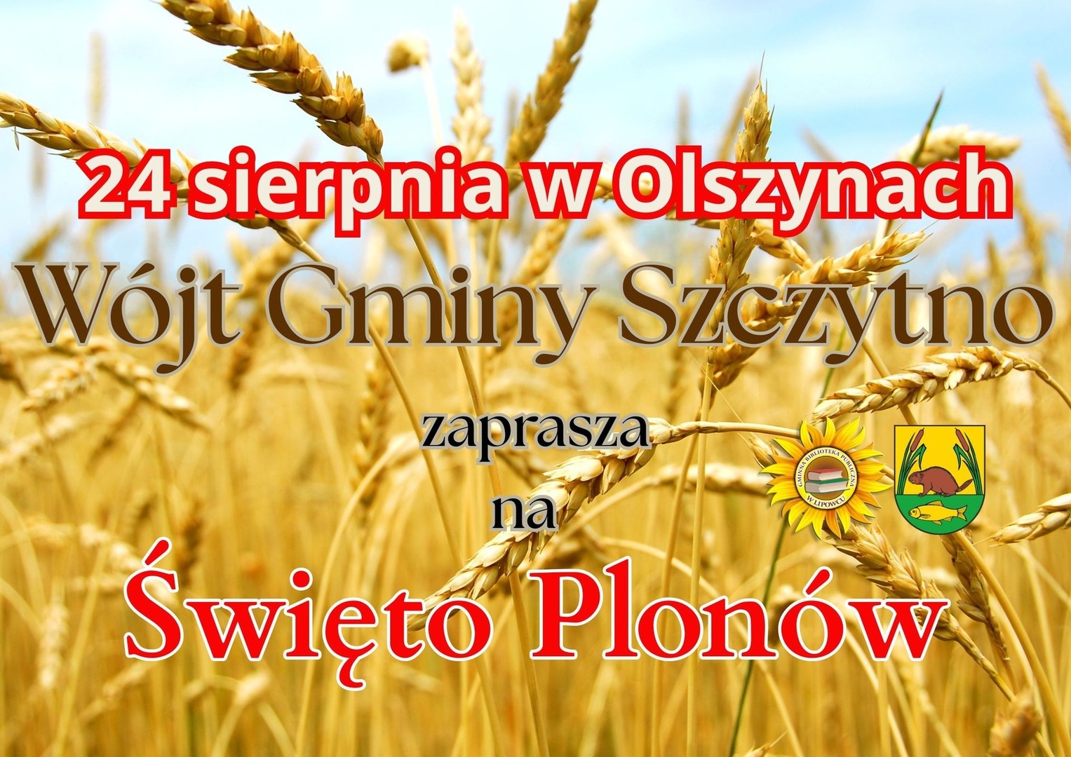 (link otworzy duże zdjęcie)