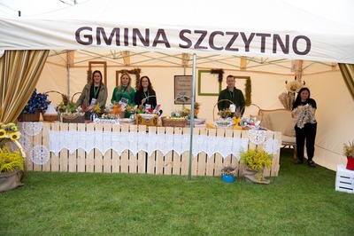  (link otworzy duże zdjęcie)