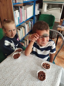  (link otworzy duże zdjęcie)