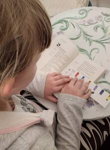 (link otworzy duże zdjęcie)