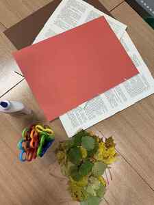 (link otworzy duże zdjęcie)