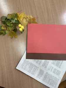 (link otworzy duże zdjęcie)