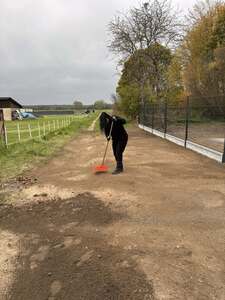 (link otworzy duże zdjęcie)