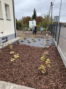 (link otworzy duże zdjęcie)