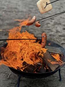 (link otworzy duże zdjęcie)