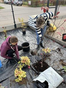 (link otworzy duże zdjęcie)