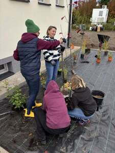 (link otworzy duże zdjęcie)