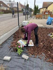 (link otworzy duże zdjęcie)