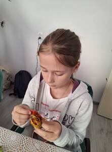 (link otworzy duże zdjęcie)