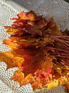 (link otworzy duże zdjęcie)