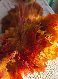 (link otworzy duże zdjęcie)