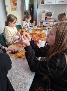 (link otworzy duże zdjęcie)