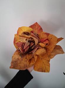 (link otworzy duże zdjęcie)