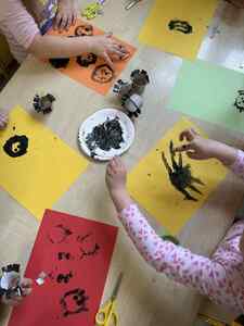 (link otworzy duże zdjęcie)