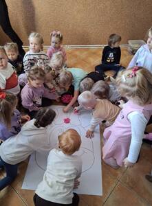  (link otworzy duże zdjęcie)