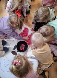  (link otworzy duże zdjęcie)