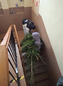 (link otworzy duże zdjęcie)