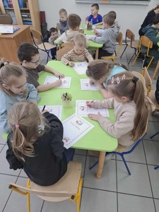  (link otworzy duże zdjęcie)