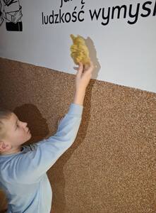  (link otworzy duże zdjęcie)