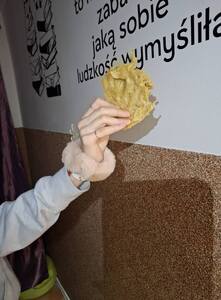  (link otworzy duże zdjęcie)