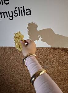  (link otworzy duże zdjęcie)