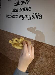  (link otworzy duże zdjęcie)