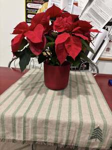  (link otworzy duże zdjęcie)