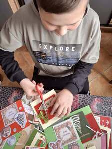  (link otworzy duże zdjęcie)