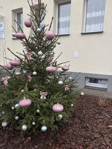 (link otworzy duże zdjęcie)