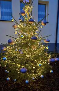 (link otworzy duże zdjęcie)