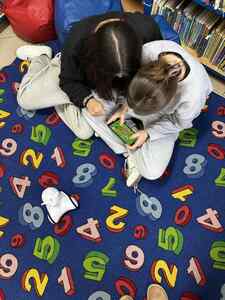  (link otworzy duże zdjęcie)