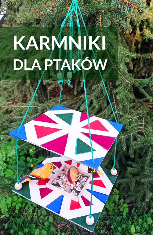 (link otworzy duże zdjęcie)